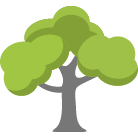 Noblesville Tree Removal