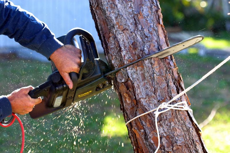 Cherry Tree Removal