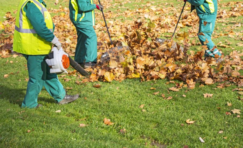 Leaf Removal Service
