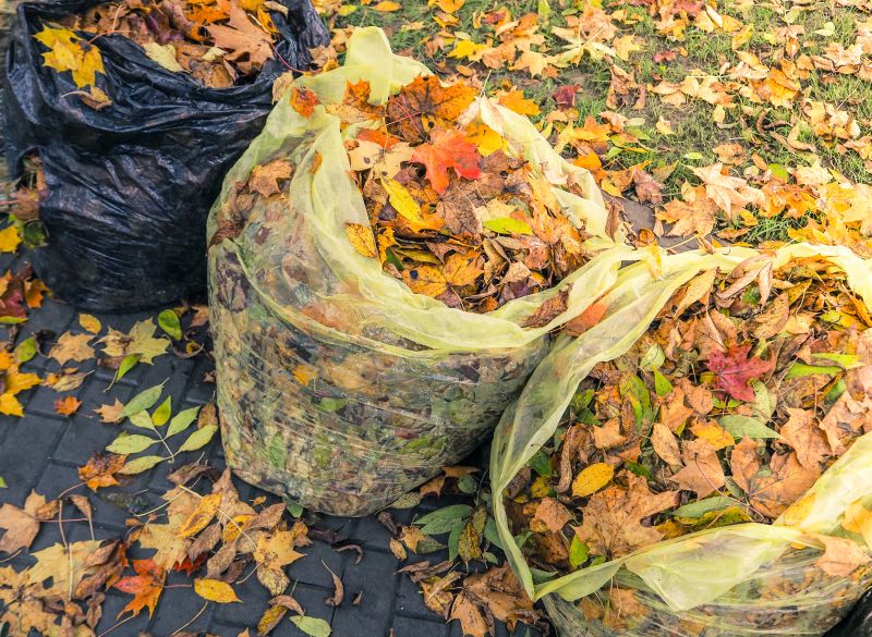 Leaf Disposal