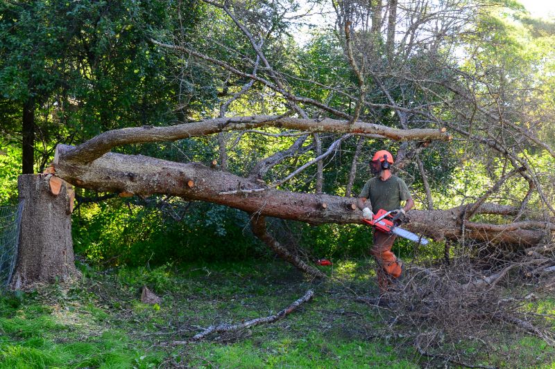 Tree Cutting Tools