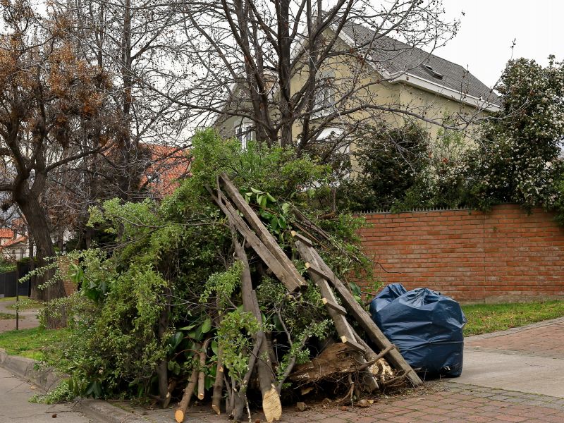 Site Cleanup Post Removal