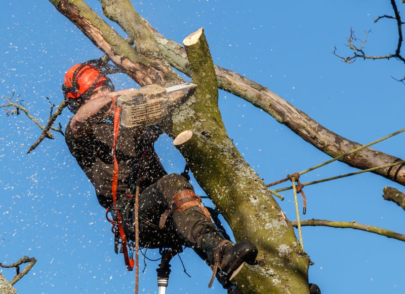 Safety Gear and Precautions